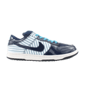 Nike Dunk Low Pro SB PL 'Blue Avenger'