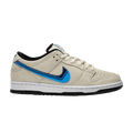 Nike Dunk SB Low 'Truck It'