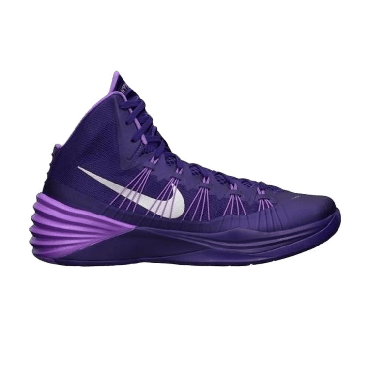 Nike Zoom Hyperdunk 2013 TB 'Dark Purple'