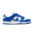 Nike Dunk Low Retro SP 'Kentucky'
