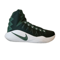 Nike Hyperdunk 2016 TB 'Gorge Green'
